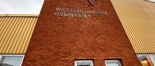 En väldigt stor risbuske till Westerlundska Gymnasiet!