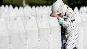 Bosnien sörjer – 25 år efter Srebrenica