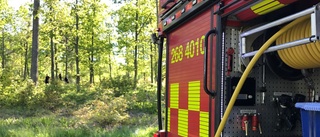 Räddningstjänsten bekämpade skogsbrand utanför Vimmerby