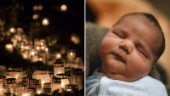 Fler döda än födda ger blygsam befolkningsökning 2020: "Rörligheten som har minskat"