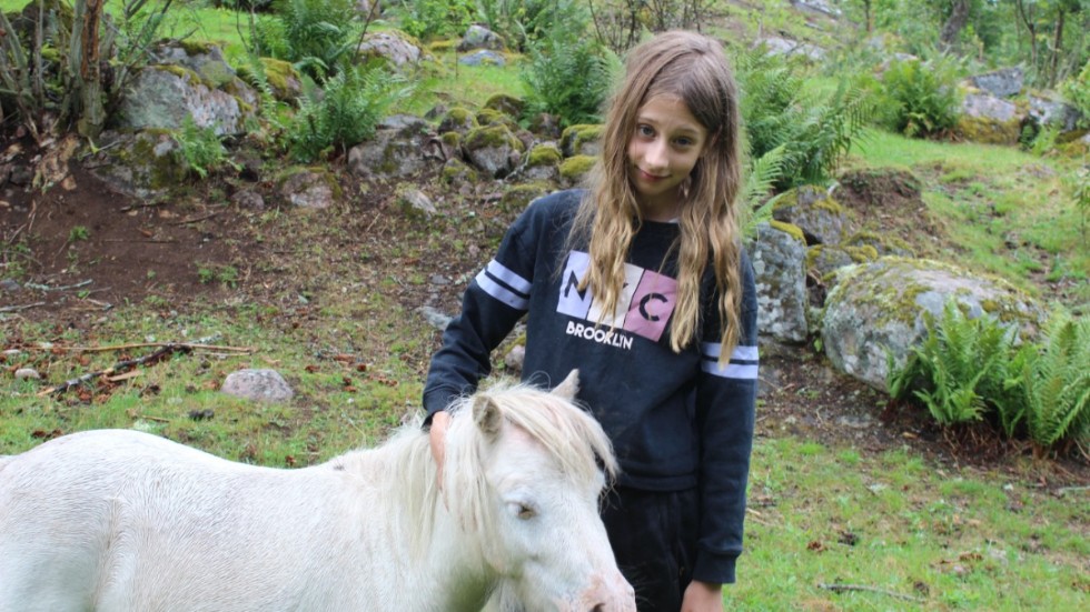 Elin Andersson är van med djur på gården. Hästarna har fått komma ut till sin sommarhage. 