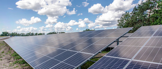 Dramatisk efterfrågan på mark för solcellsparker – företag vill teckna avtal på 49 år