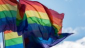 Tio års kamp för HBTQ-frågor –  och mer finns att göra
