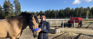 Hästvirus skrämmer inte i Piteå: "Har stränga regler"