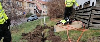 Rumänske Adrian grävde fiber åt upplänningar – lurades på lönen