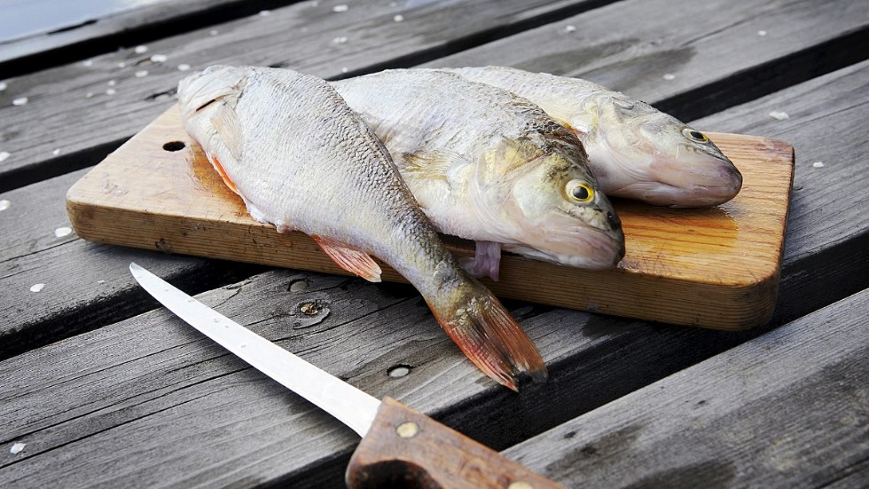 Husbehovsfiske är inte längre möjligt anser insändarskribenten.
