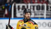 Luleå Hockey-veteranen i ny omgiving: "Vi har bra kemi"