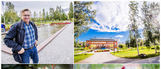 Nu får Luleås äldsta park körsbärsträd - som Stockholm