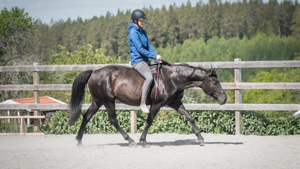 Inom frihetsdressyr är det fullt möjligt att rida en häst utan varken sadel eller träns, det viktigaste är en lyhörd kommunikation mellan ryttare och häst. På bild syns Madeleine Tagel. 