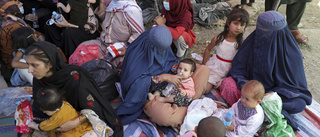 Sex EU-länder varnar för afghansk flyktingvåg