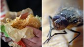 Hamburgerkedja får kritik: "För många flugor i lokalen"