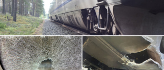 15-åring kastade sten på tåg och la järnföremål på rälsen – får sänkt straff i hovrätten • Omfattande skador på Kustpilen