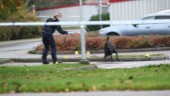 En anhållen för dödsskjutningen i Linköping