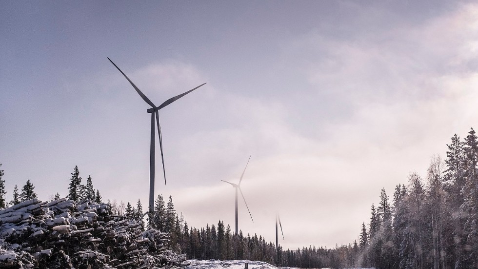 Nu när Norsjö kommun har sagt ja till vindkraft borde invånarna få billigare el, anser skribenten. 