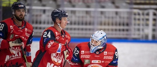 VIK-spelare med i Veckans femma i Hockeyallsvenskan