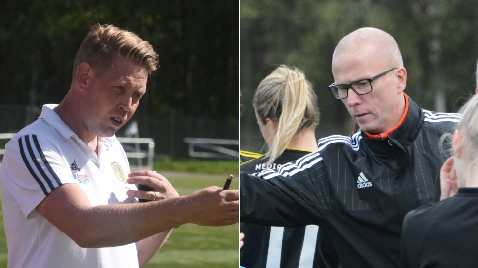 Mikael Rinaldo var huvudtränare för Vimmerby IF under den gångna säsongen. Håkan Ericsson i klubbens damutskott menar att man kommit en bit på väg mot en lösning till nästa år.