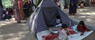 Mohammed i Kabul: Världen har svikit oss