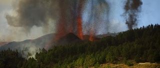 Lavan på La Palma bromsas på väg mot havet