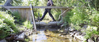 Våtmarker och underjordiska magasin ska säkra vattentillgången – "Ett kul projekt"