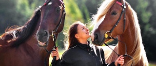 Skrälldraget inför Skellefteås dubbeljackpot med 58 miljoner till en vinnare: ”Mina hästar trivs bra på den banan”