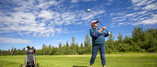 Bildextra: En skön dag ute på golfklubben • Paret Niemi har spelat 47 år i Luleå: "Golfbanan blir vår oas"