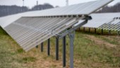 Ännu en stor solcellspark till Nyköping