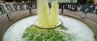 Märkligt fenomen – Uppsalas fontäner har färgats gröna
