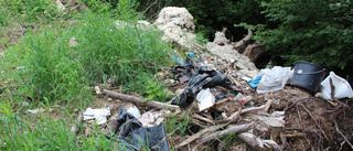 Byggavfall dumpat i skogen – upptäckten har polisanmälts av kommunen