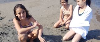 De skapade sandskulpturer på Gläntan • Fin delfin i sand växte fram