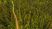 Skogsägare värnar om sina skogar