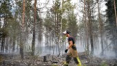 Så kan vi undvika skogsbränder i Kalmar län