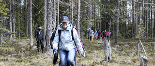 Sverige har fått 131 nya naturreservat
