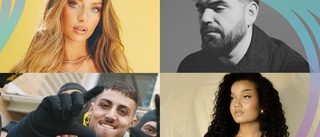 Här är artisterna som kommer till LÅ Vibe Gültzauudden