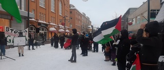 Manifestation i Luleå med krav på eldupphör i Gaza