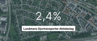 Så gick det för Lundmans djurtransporter AB 2022