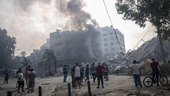 Hundratals döda i Israel och Gaza – vi rapporterar 