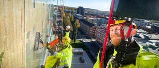 No pane, no gain: Daredevils take window cleaning to new heights