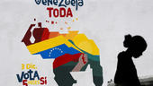 Venezuela vill rösta om guyansk landsdel
