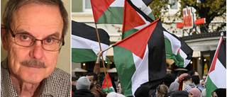 Palestinagruppen i Norrköping: "Kommer aldrig att fördöma Hamas"