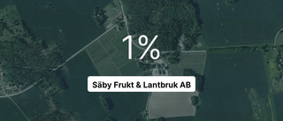 Säby Frukt & Lantbruk AB: Här är de viktigaste siffrorna senaste året