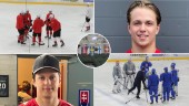 Hockeyfest i Nyköping – talanger från hela europa