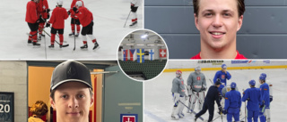 Hockeyfest i Nyköping – talanger från hela europa