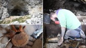 Arkeologens fynd: Kan vara från första människan på Gotland