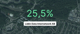 Intäkterna krymper för Lidén Data Internetwork AB - för tredje året i följd