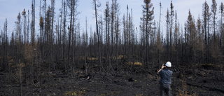Så kopplas Kanadas bränder till ändrat klimat