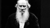 Tolstojs slutstation