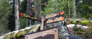 Rödgölens naturreservat - en vild naturskatt i Kolmården