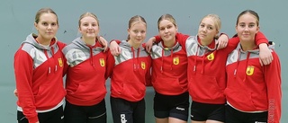 Mycket EHF i Sverigecupen