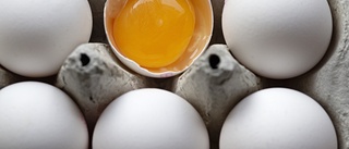 Nytt larm om salmonella – ägg återkallas