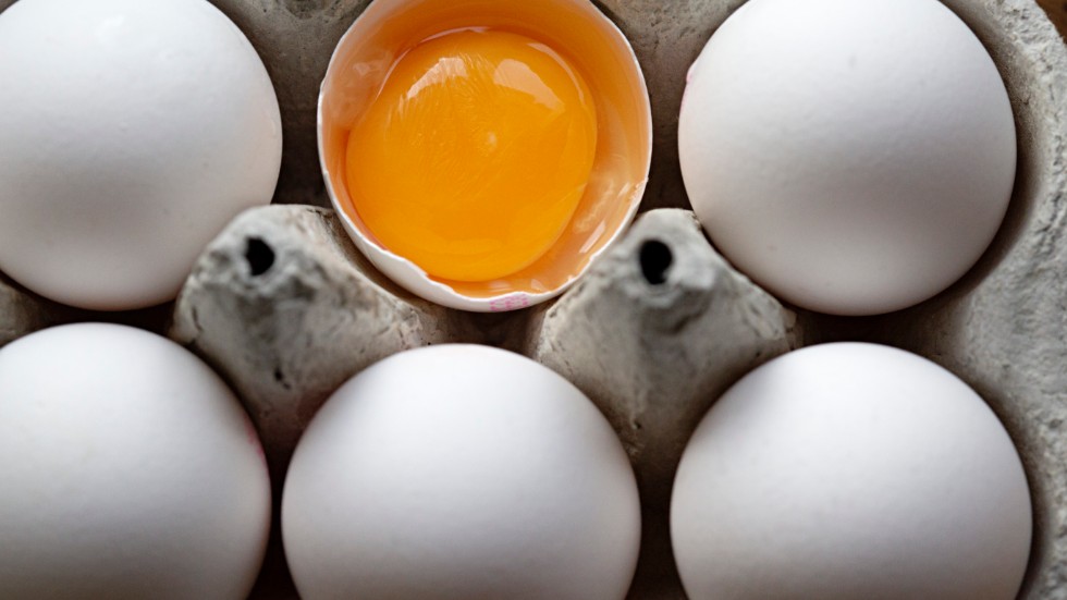 Nästa år införs gränsvärden för PFAS-ämnen i bland annat ägg. Arkivbild.